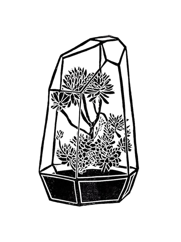 Terrarium