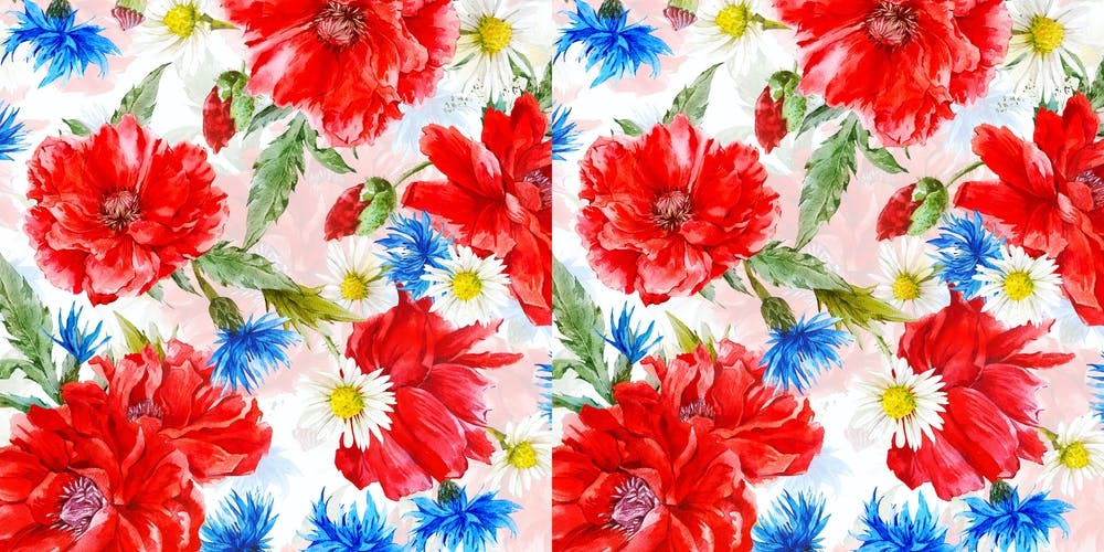 Midsummer Poppies And Cornflowers Meadow