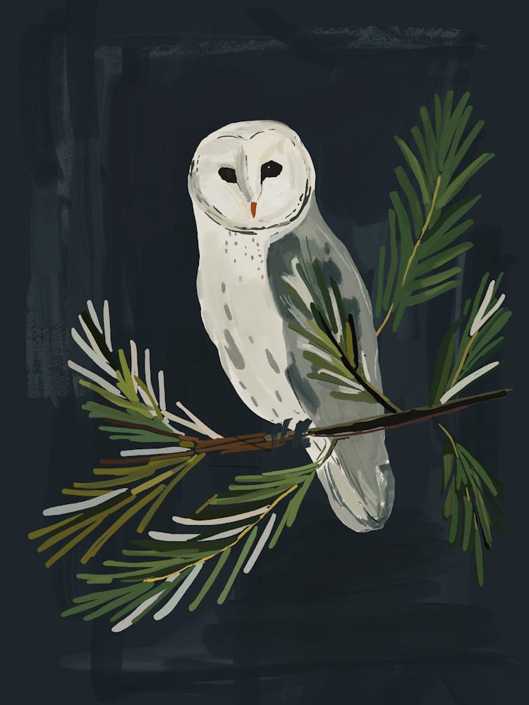 Night Owl