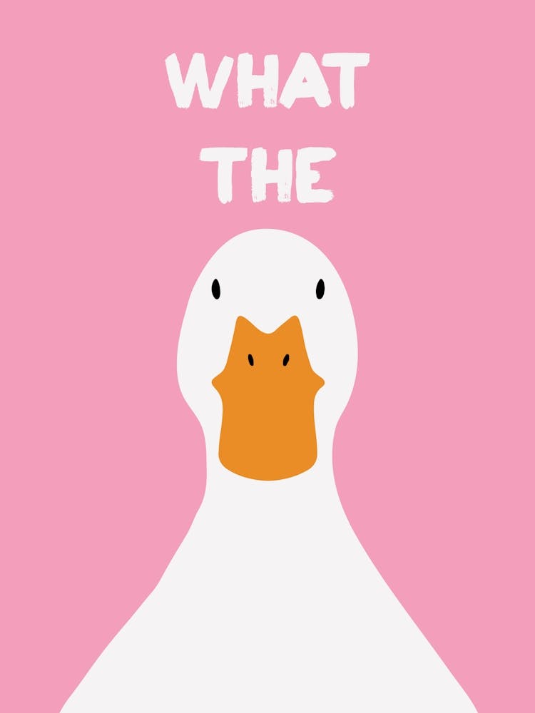 What The Duck