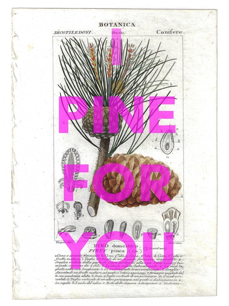 I Pine For You Vintage Pine Cone