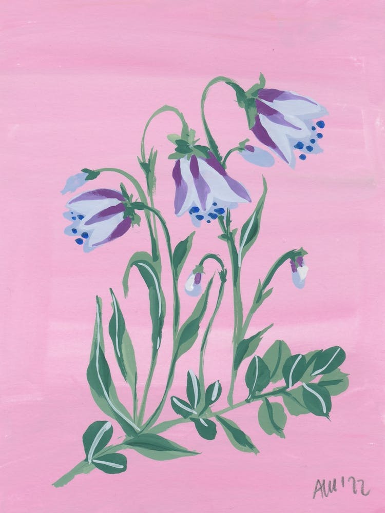 Little Blue Bells On Pink
