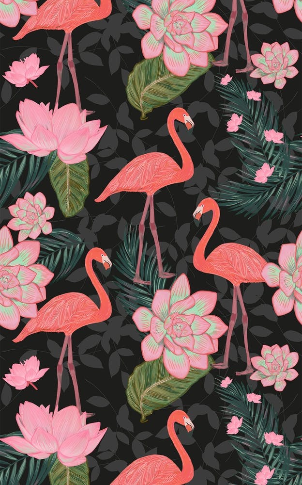 Flamingos Lotus Flowers