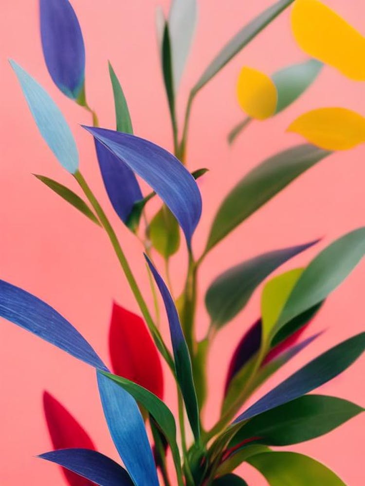 Baby Rubber Plant Colourful Illustration