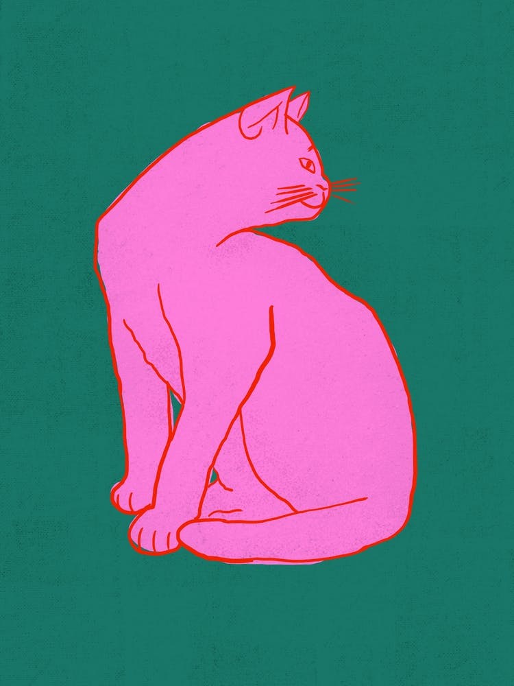 Pink Cat 2
