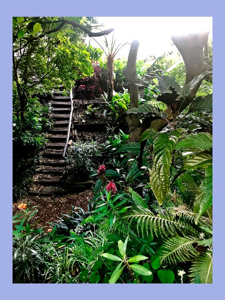 Wendy's Secret Garden