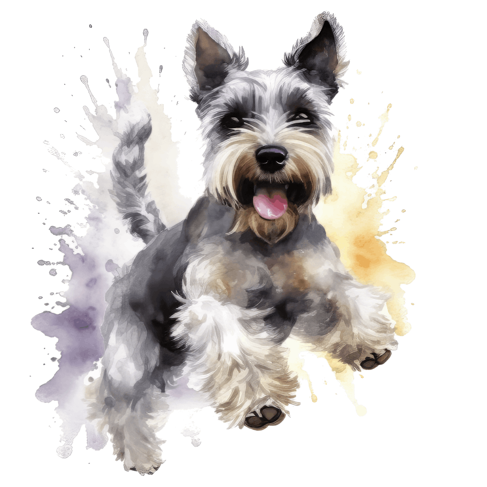 Schnauzer 21