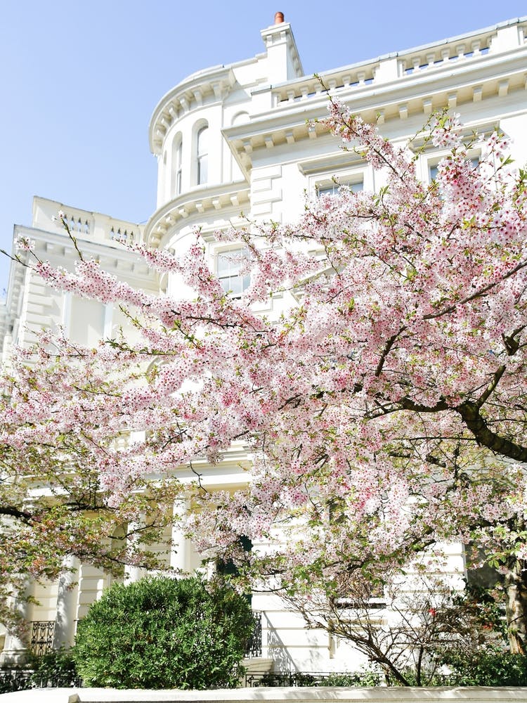 Pastel London Spring