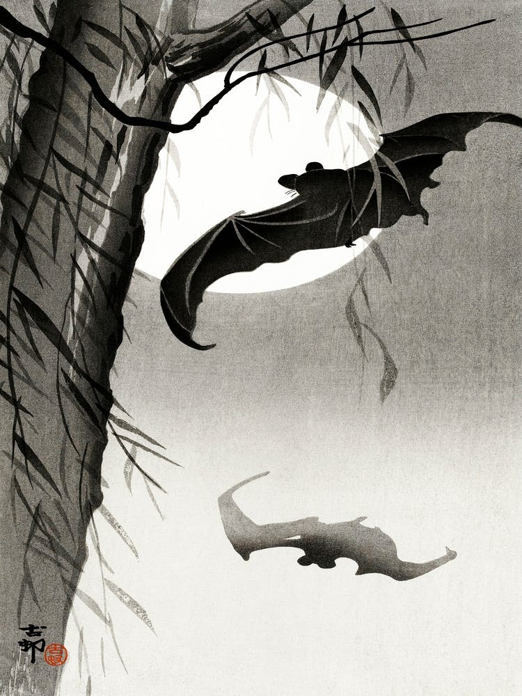 Bats Under The Full Moon (1900 1936), Ohara Koson