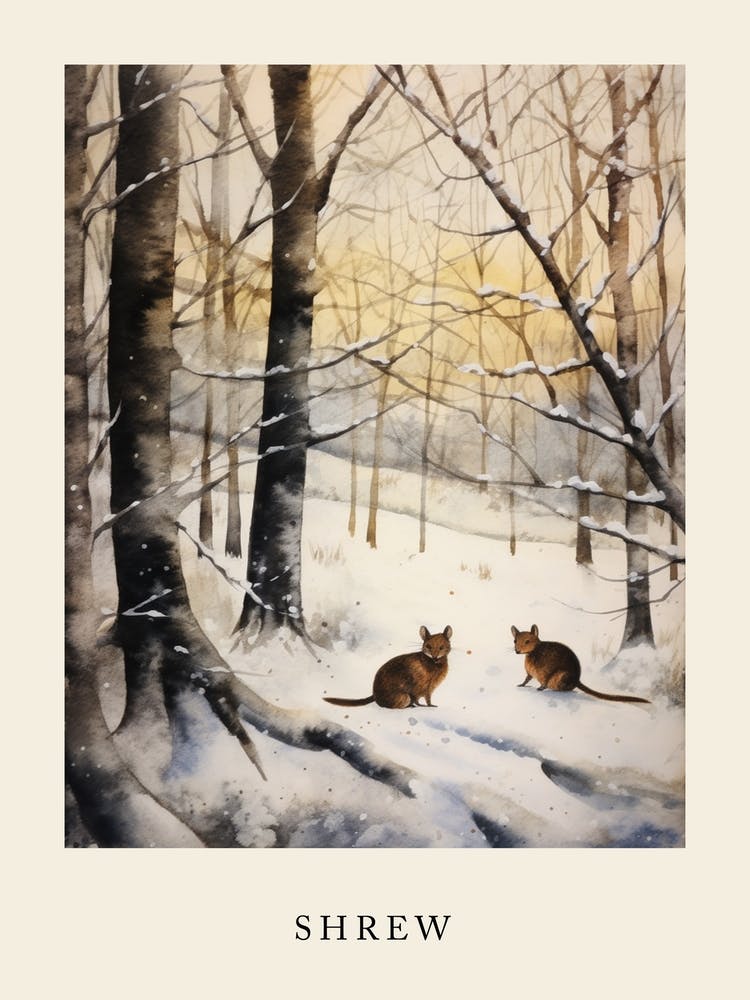 Winter Watercolour Shrew Poster
