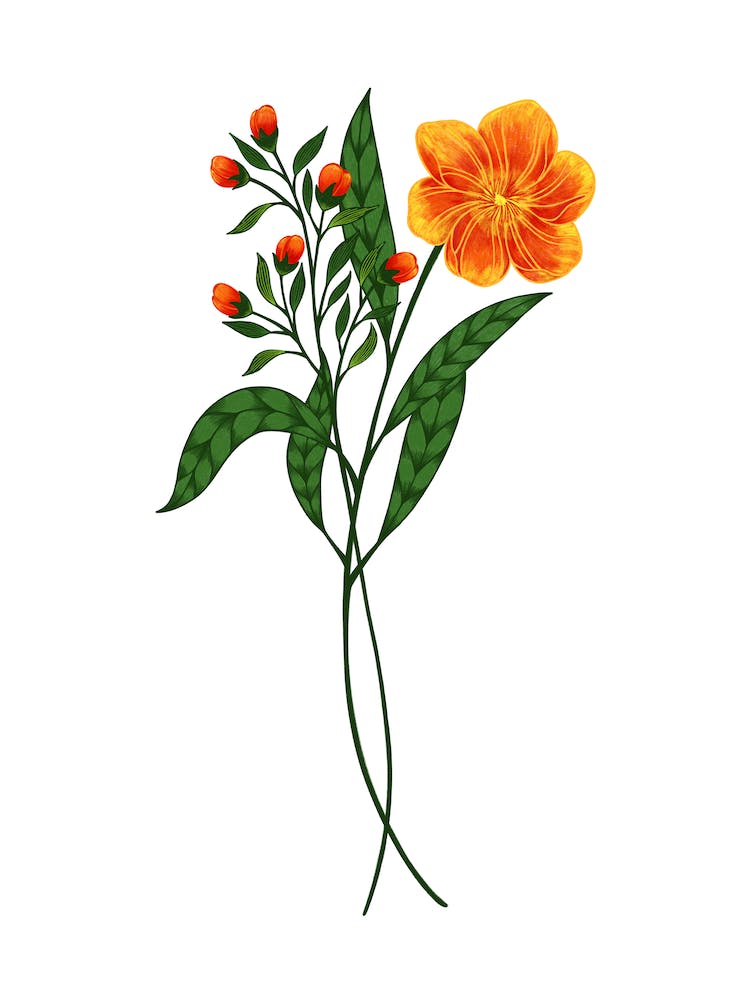 Flowers In The Spring