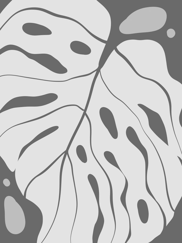 Monstera Leaf 2