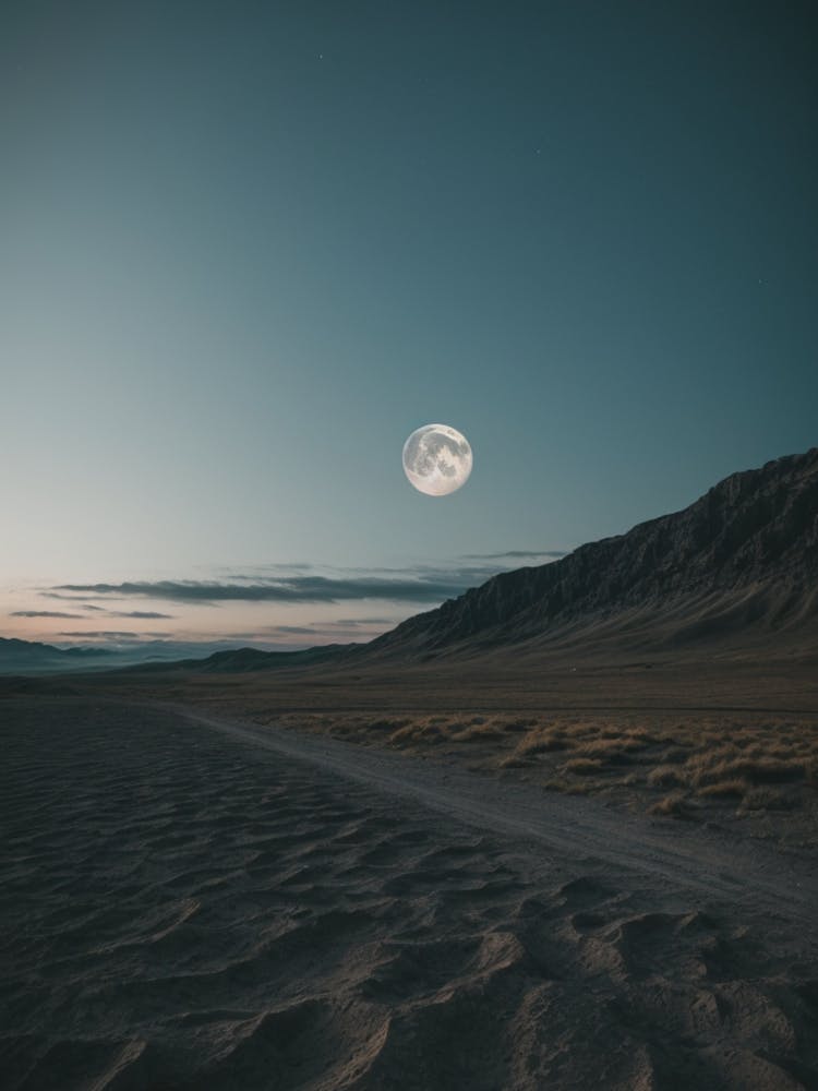 Full Moon In The Desert
