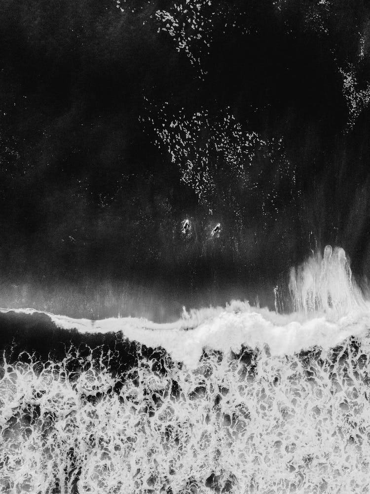 Surfer Girls