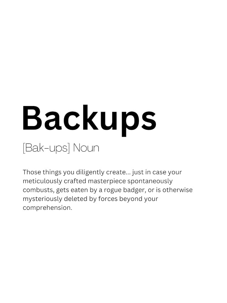 Backups Definition Meaning
