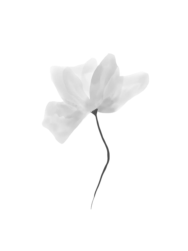 White Flower