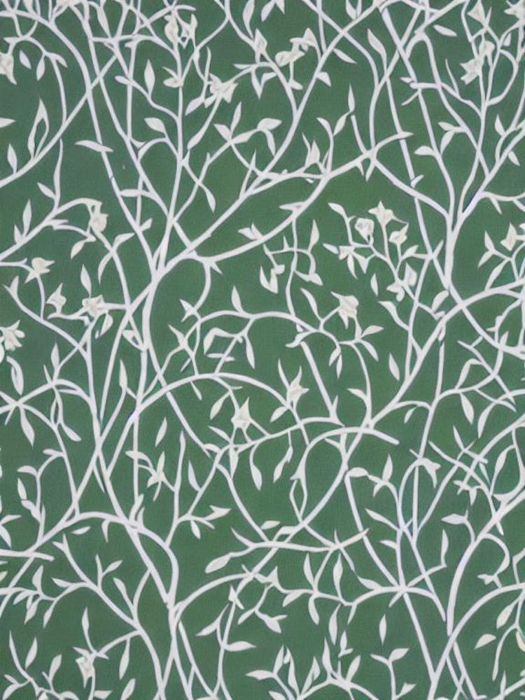 White Willow tree Vintage Botanical