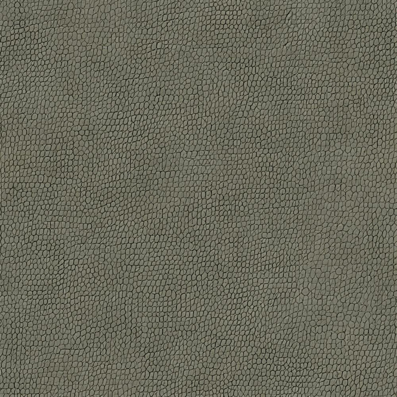 Gray Leather Texture