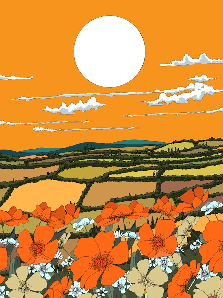 Poppies In The Field 2