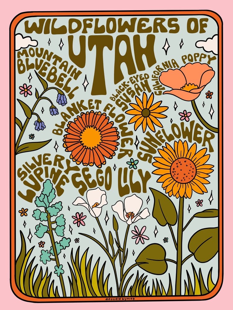 Utah Wildblumen