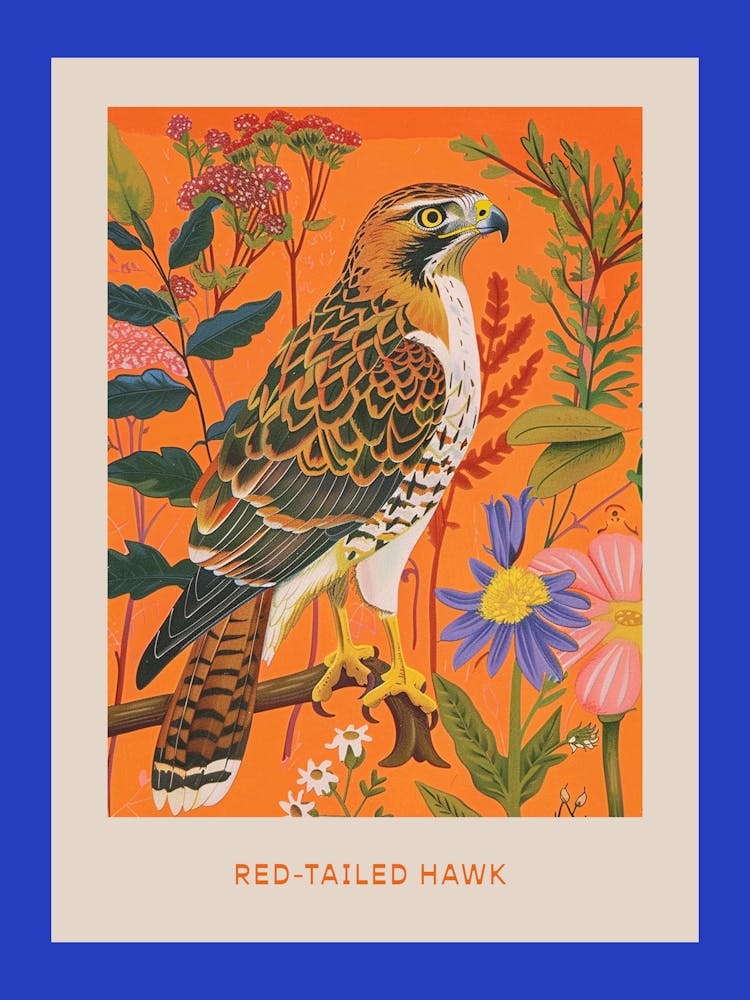 Spring Birds Poster Red Tailed Hawk 2