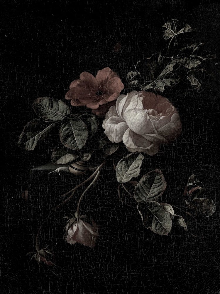 Roses On A Black Background
