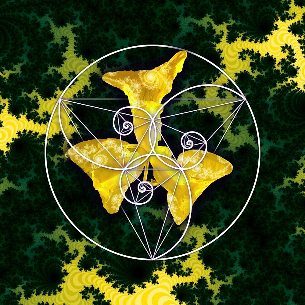 Sacred Geometry Fibonacci Spiral Flowers 3