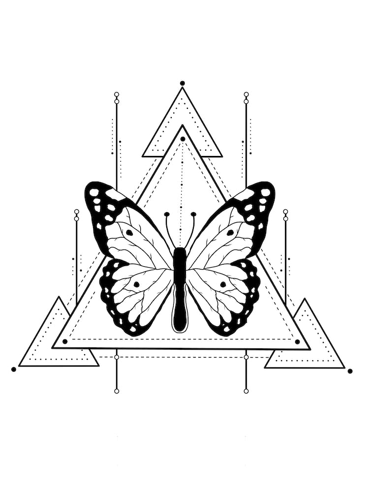 Geometric Butterfly Illustration