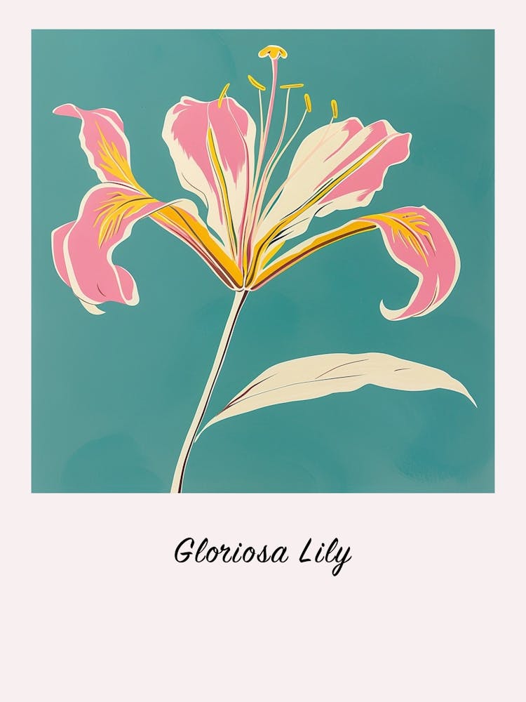 Gloriosa Lily 1 Square Flower Illustration Poster