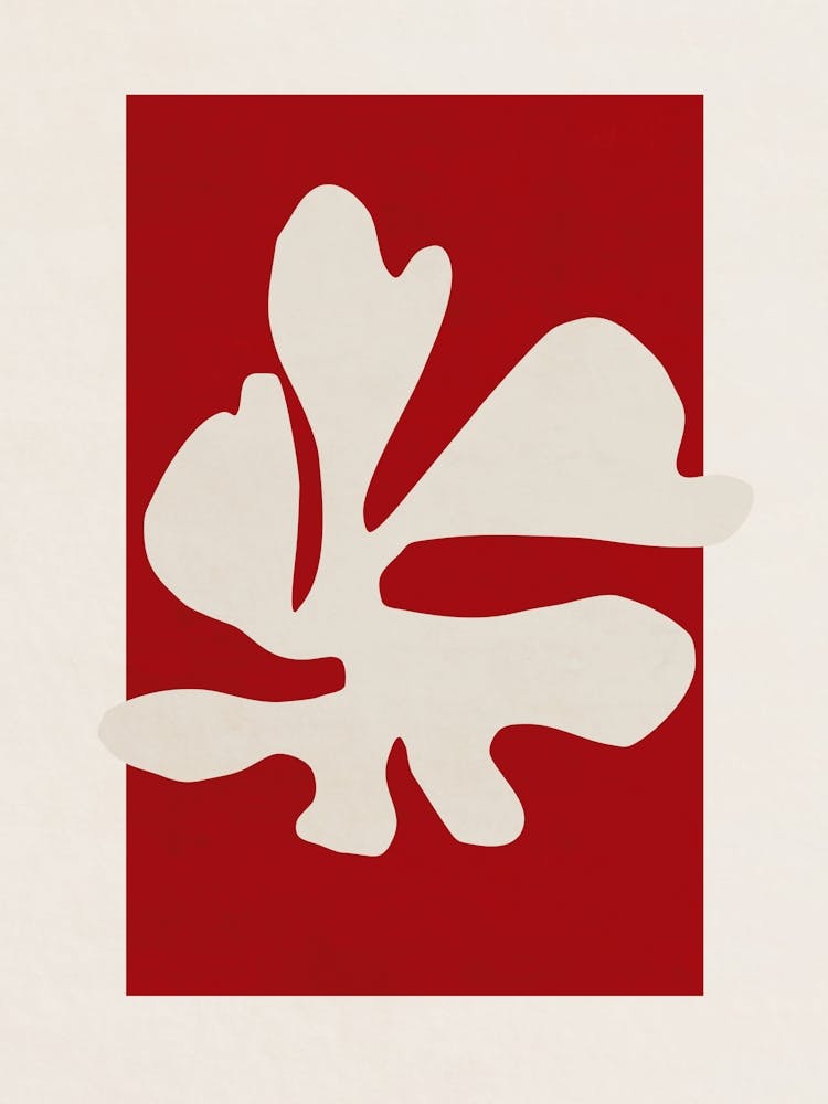 Flower - Matisse V01