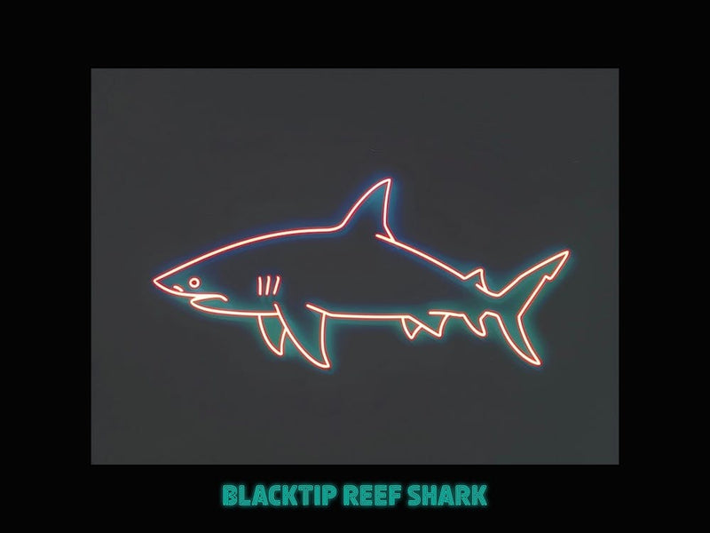 Neon Blacktip Reef Shark 3 Poster