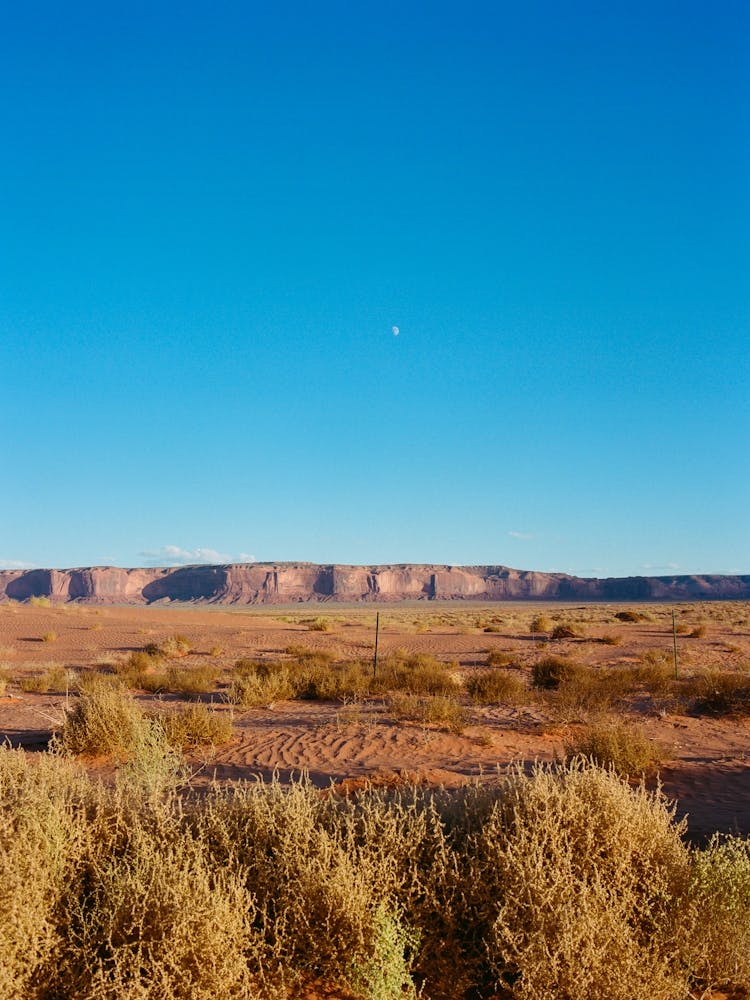 Navajo Nation III on Film