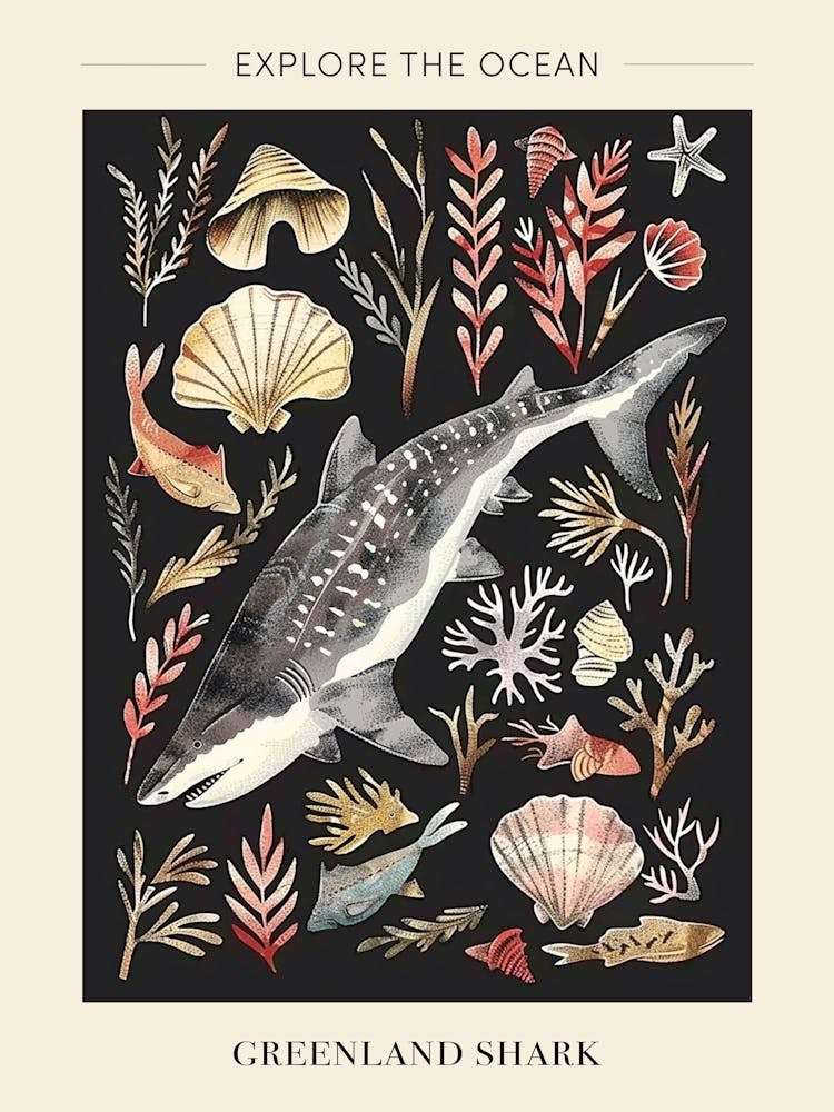 Greenland Shark Seascape Black Background Illustration 3 Poster
