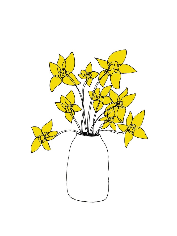 Daffodils Yellow