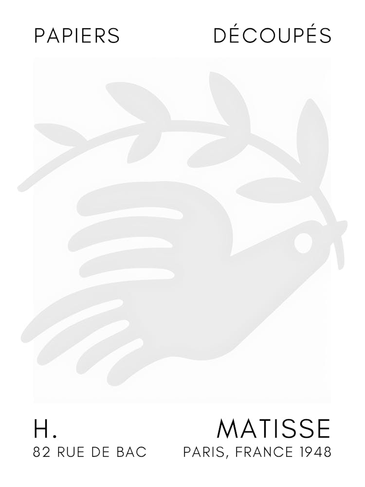 Matisse 31