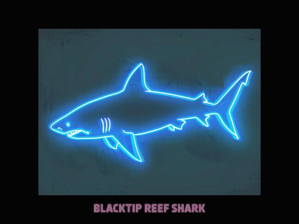 Neon Pink Blacktip Reef Shark Poster 1