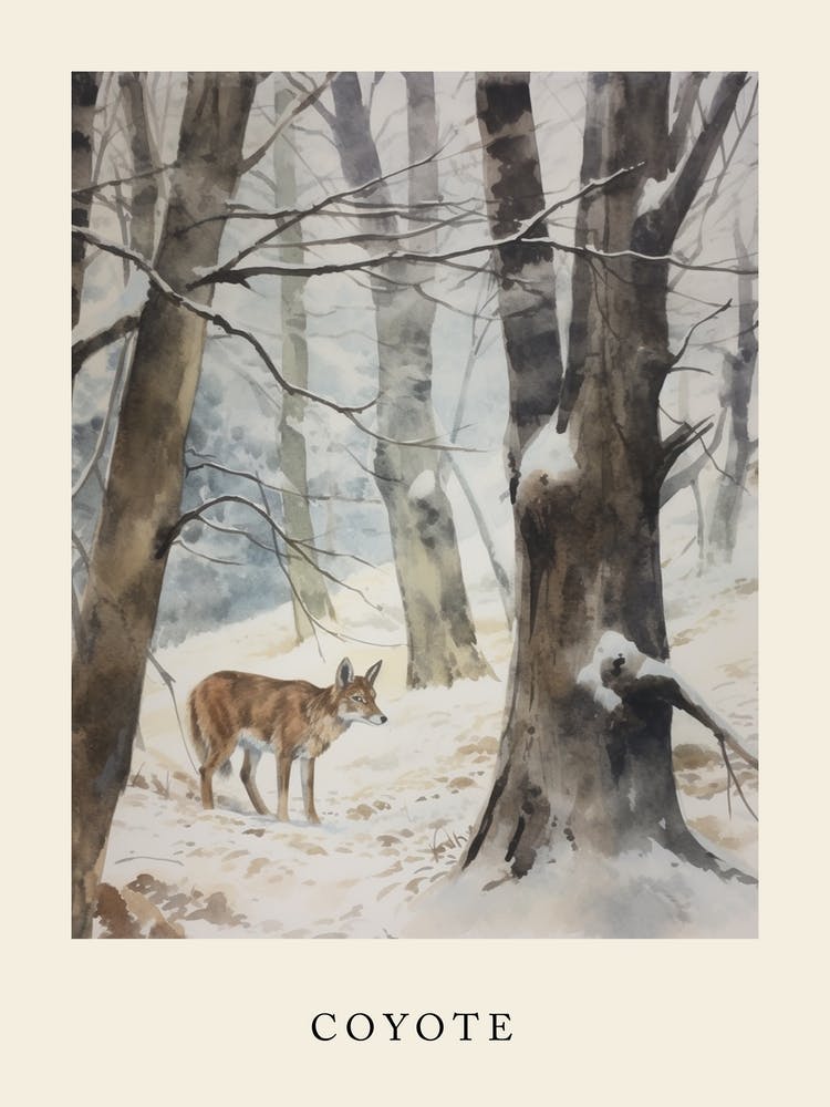 Winter Watercolour Coyote 2 Poster