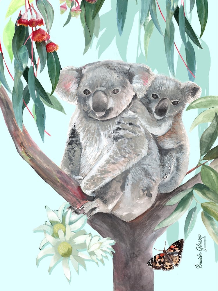 Mother And Joey Koalas