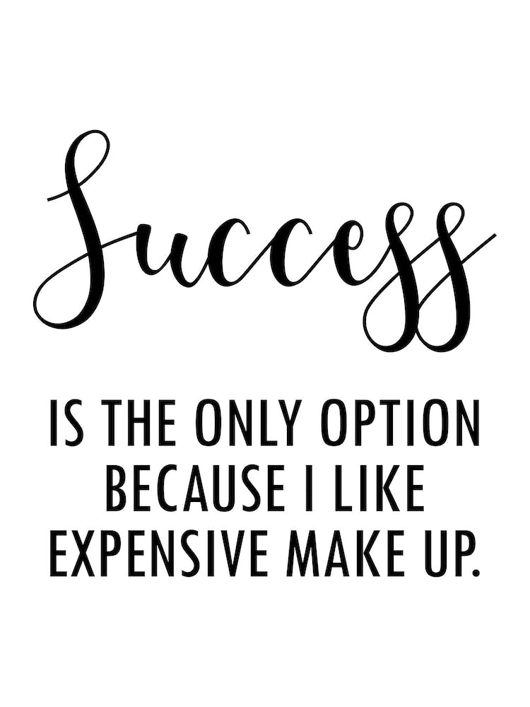 Success Is The Only Option