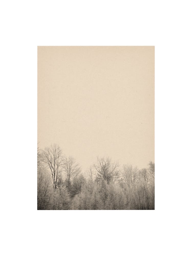 Nature Mix And Match 15