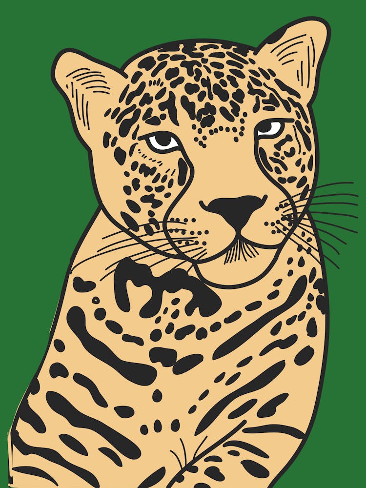 Leopard 16