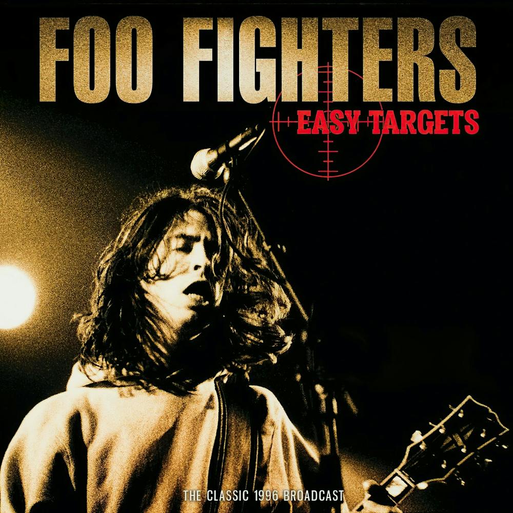 Foo Fighter Album (18)