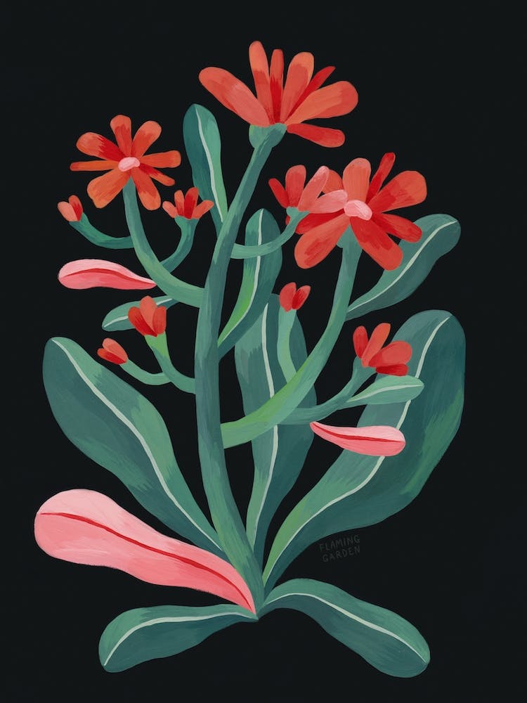 Red Flower