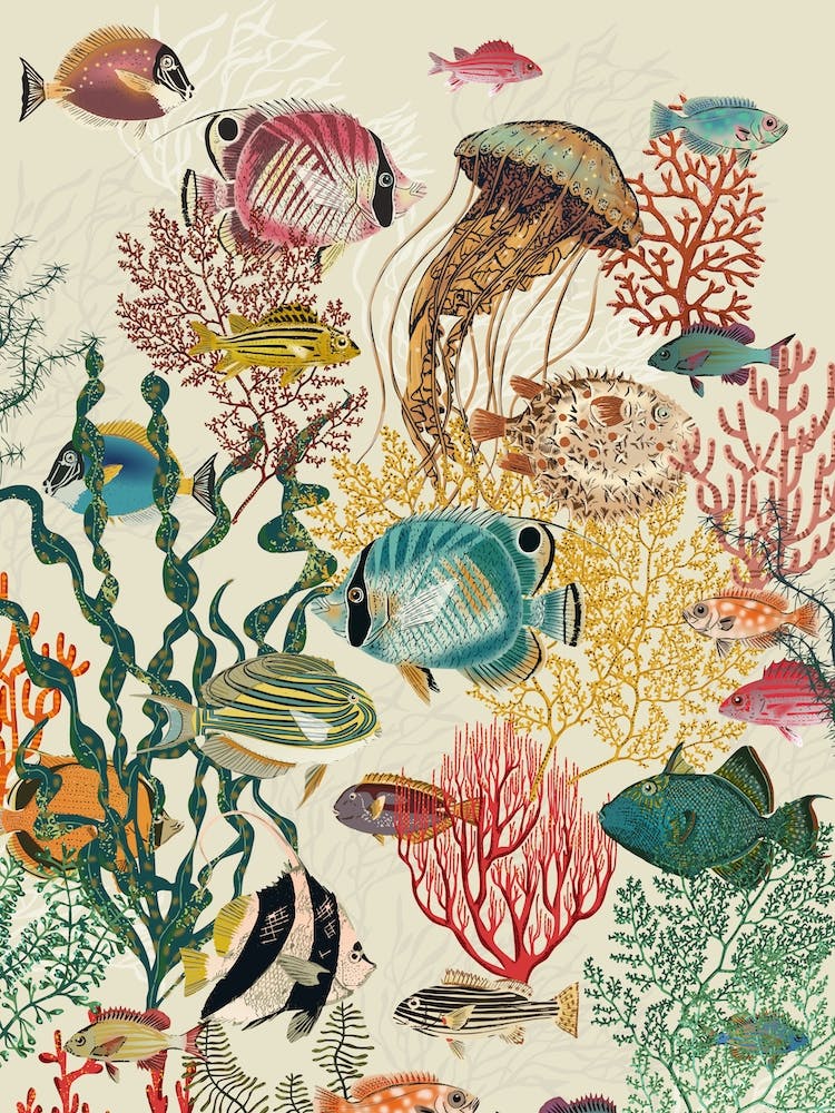 Coral Reef Deep Silence Creme