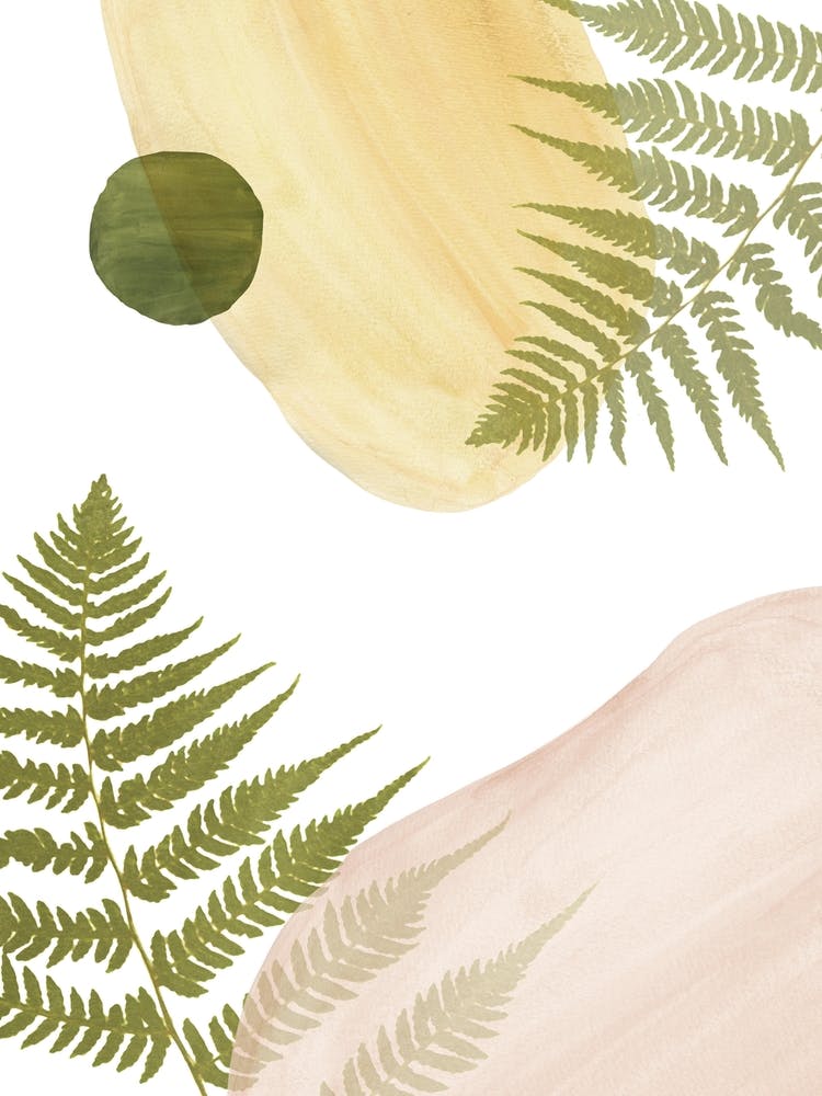 Fern Leaves