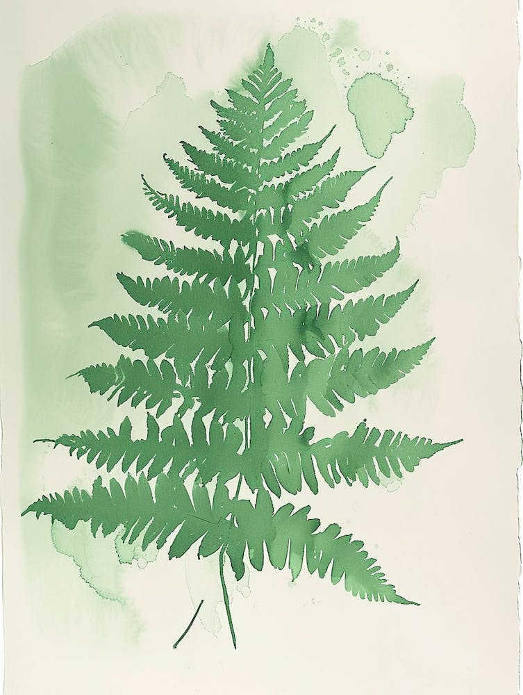 Green Ink Painting Of A Harts Tongue Fern 2