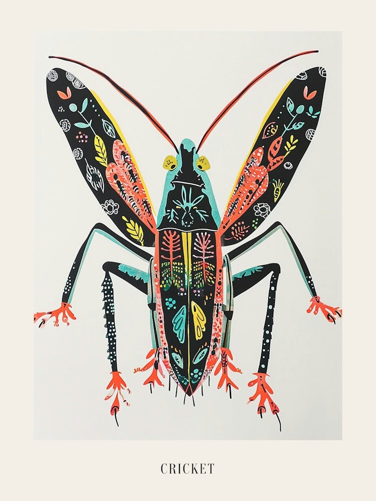 Colourful Insect Illustration Cricket 2 Poster