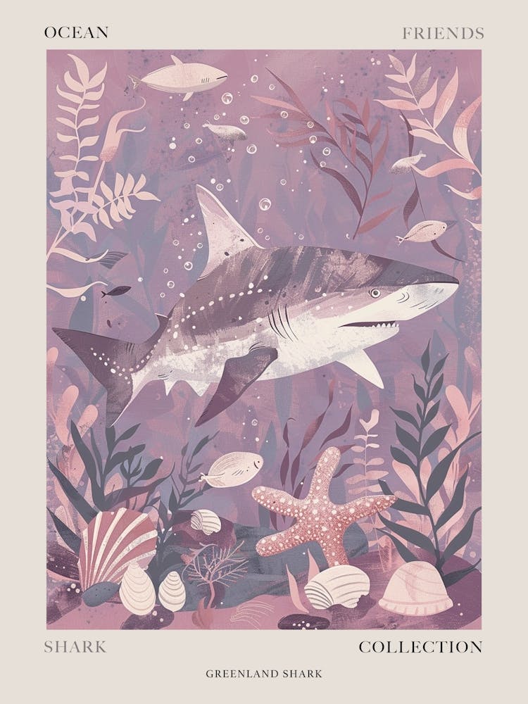 Lila Grönlandhai Illustration 1 Poster