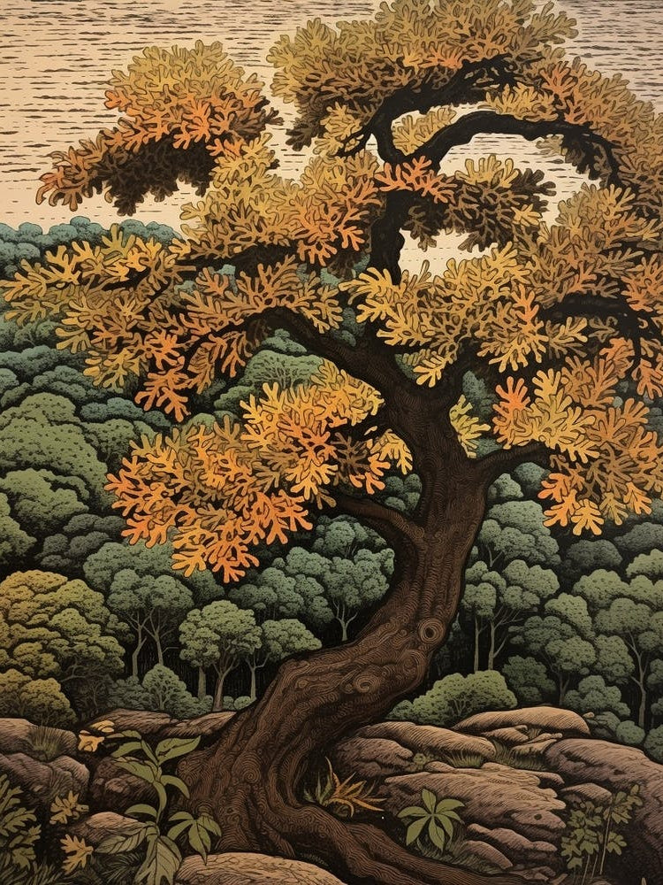 Black Walnut 1 Vintage Autumn Tree Print 