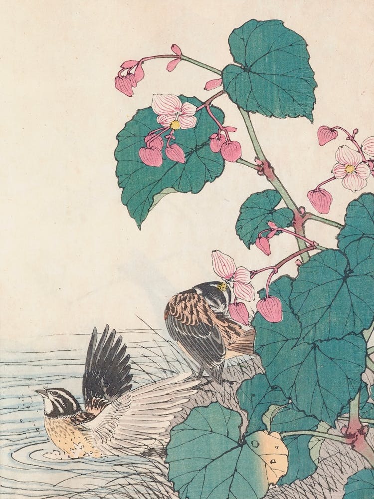 Birds And Flowers 1